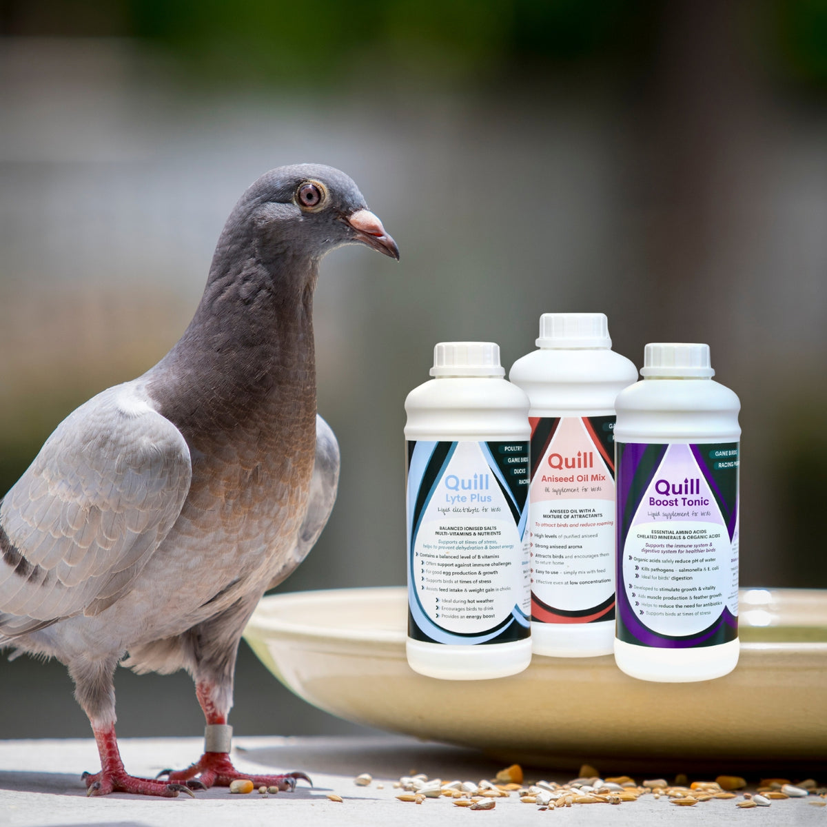 Racing Pigeon Vitamin Supplements Organic Acids Electrolytes