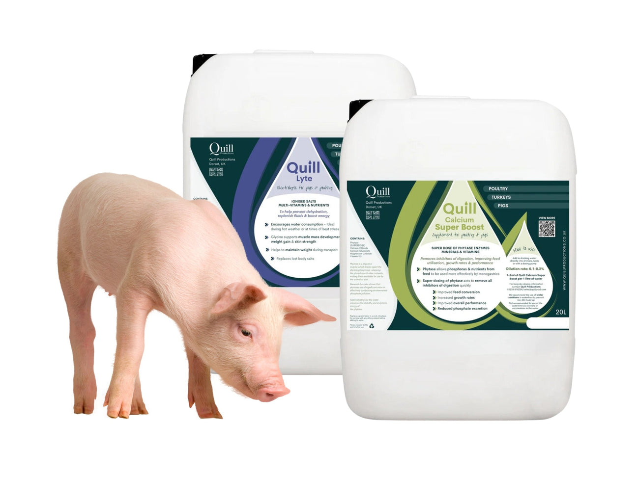 Pig Vitamins, Acids & Supplements