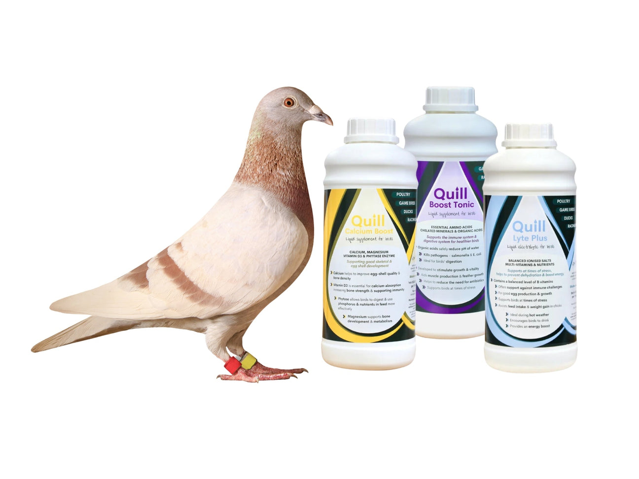 Racing Pigeon Vitamins & Supplements