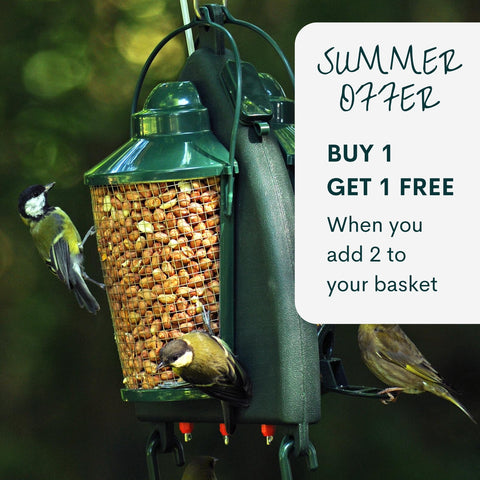 Quill Garden Bird Drinker & Feeder