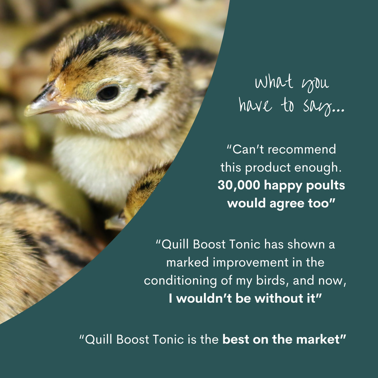 Quill Boost Tonic | 1L | 5L