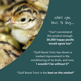 Quill Boost Tonic | 1L | 5L