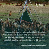 Quill Calcium Boost