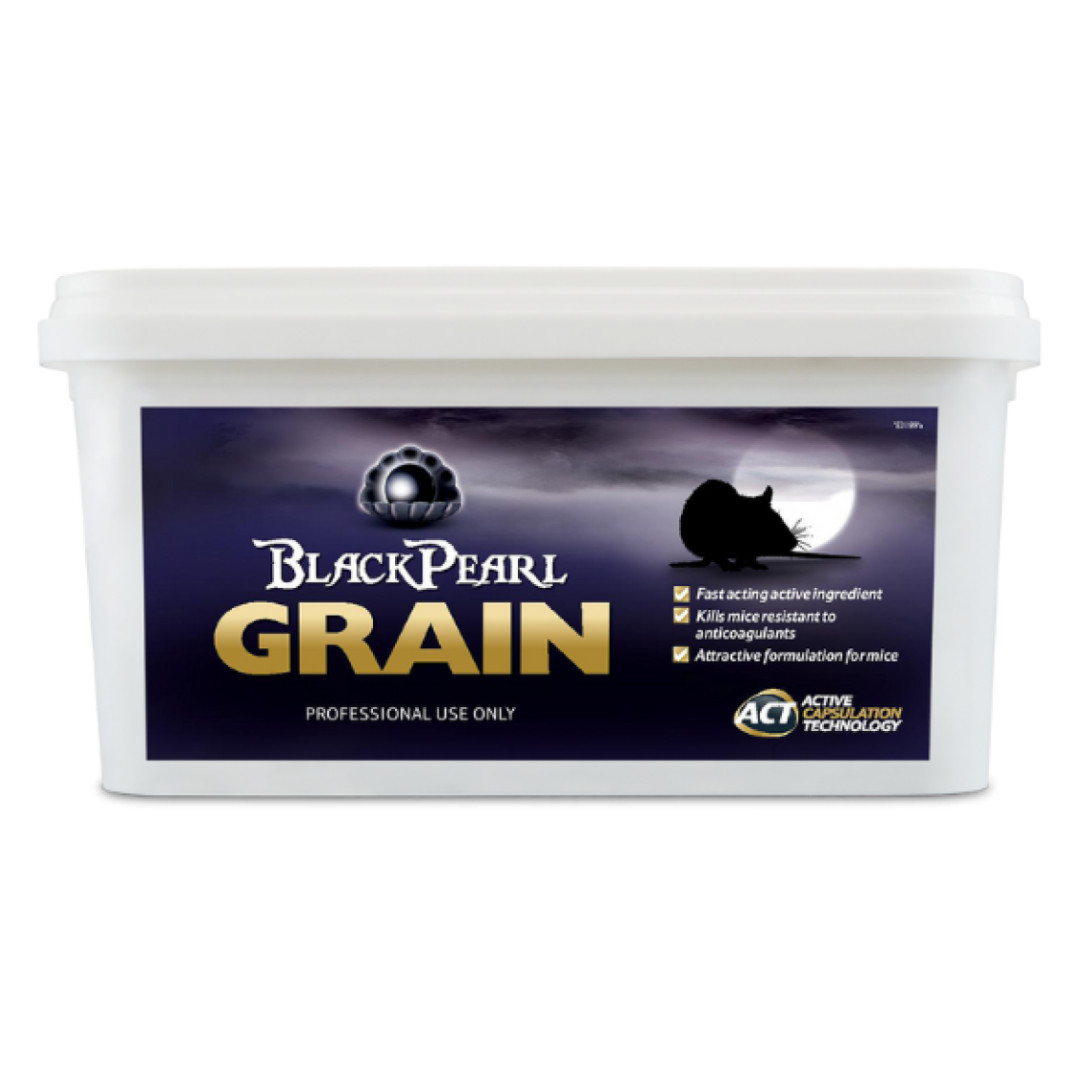 Black Pearl Grain 1kg