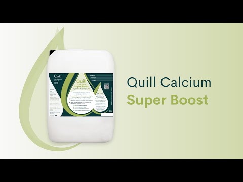 Quill Calcium Super Boost