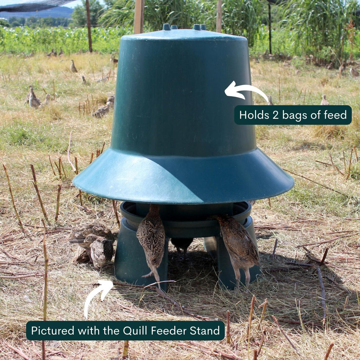 Quill Outdoor Midi Feeder