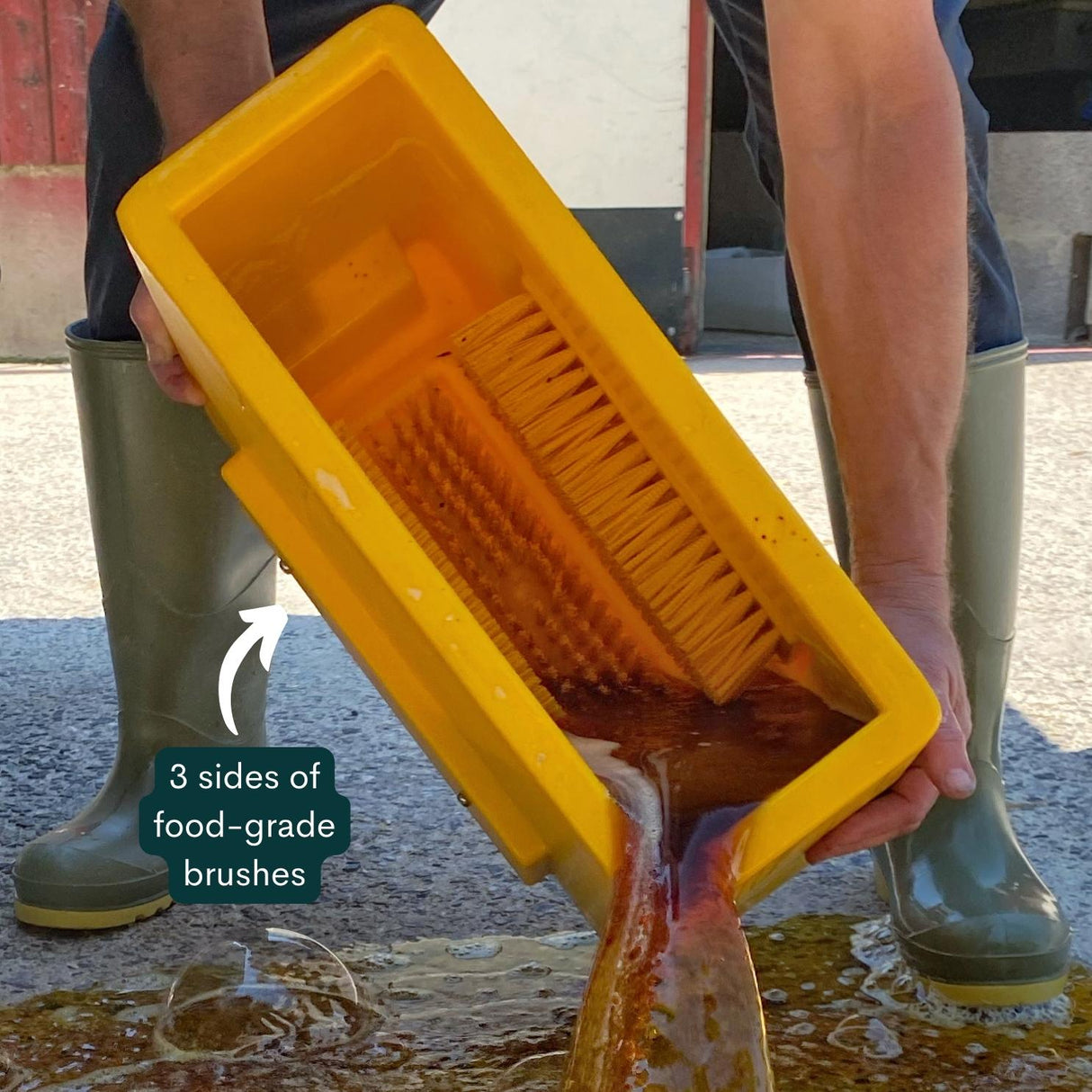 Quill Disinfecting Boot Dip