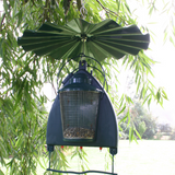 A unique feeding and drinking system to provide birds with clean water, seeds and nuts. Garden birds carry many potentially fatal diseases which are often transmitted by drinking contaminated water. Even if bird baths are disinfected on a daily basis it is inevitable that birds will mess and regurgitate saliva into the water, passing on infection to other birds.