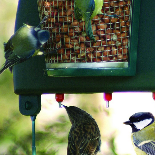 A unique feeding and drinking system to provide birds with clean water, seeds and nuts. Garden birds carry many potentially fatal diseases which are often transmitted by drinking contaminated water. Even if bird baths are disinfected on a daily basis it is inevitable that birds will mess and regurgitate saliva into the water, passing on infection to other birds.